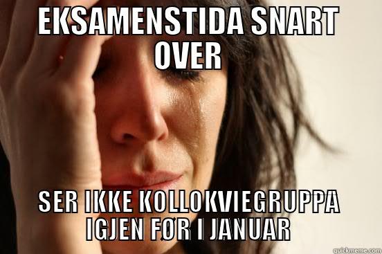 EKSAMENSTIDA SNART OVER SER IKKE KOLLOKVIEGRUPPA IGJEN FØR I JANUAR First World Problems