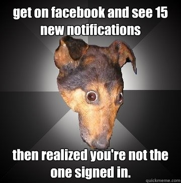 get on facebook and see 15 new notifications then realized you're not the one signed in.  Depression Dog