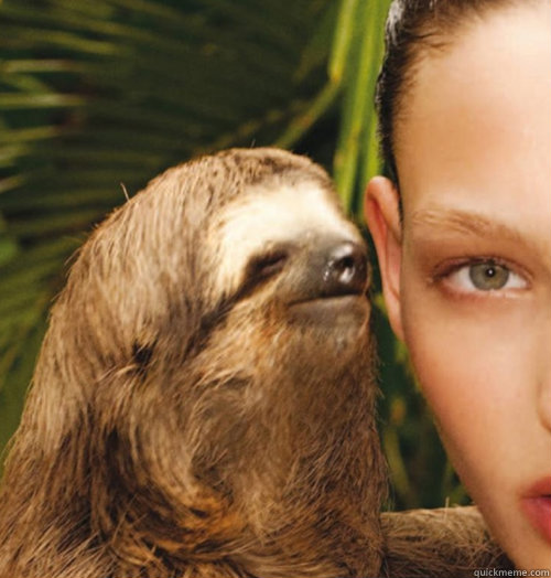   -    Whispering Sloth