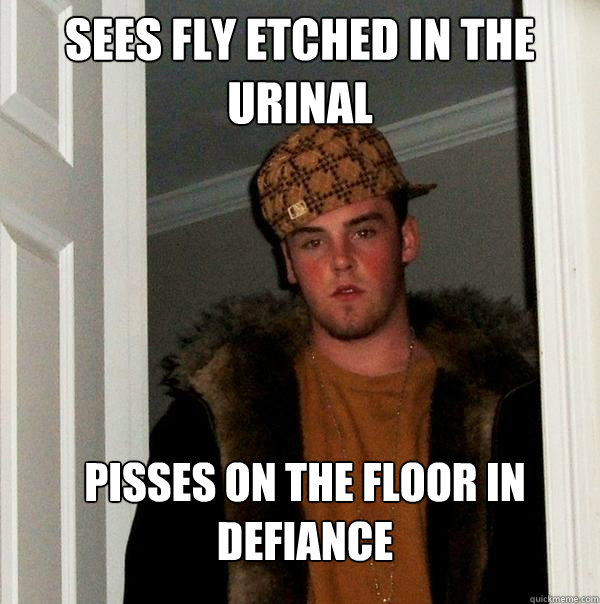 sees fly etched in the urinal pisses on the floor in defiance  Scumbag Steve