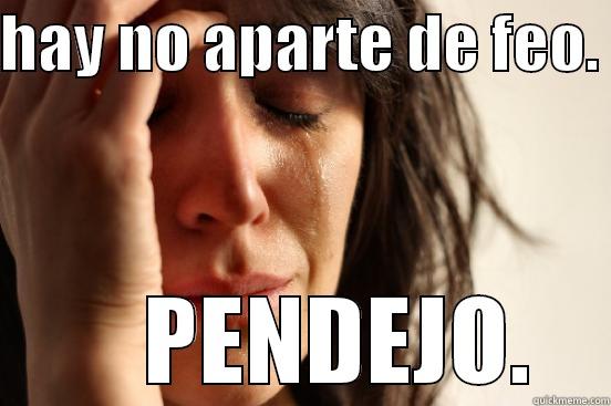 HAY NO APARTE DE FEO.      PENDEJO. First World Problems