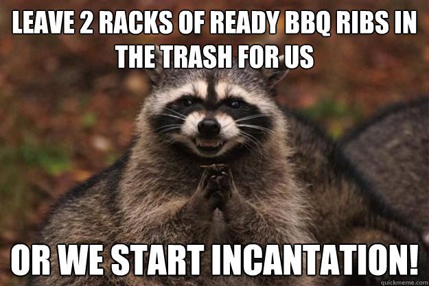 leave 2 racks of ready bbq ribs in the trash for us or we start incantation!  Evil Plotting Raccoon