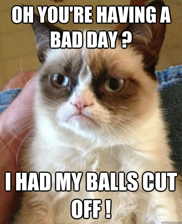 Oh you're having a bad day ? I had my balls cut off !  Grumpy Cat