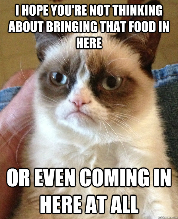 I hope you're not thinking about bringing that food in here or even coming in here at all  Grumpy Cat