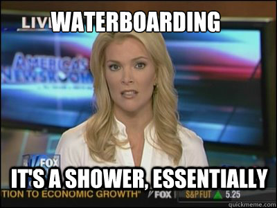 Waterboarding it's a shower, essentially   Megyn Kelly