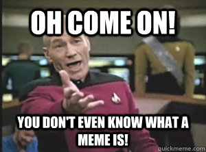 Oh Come on! You don't even know what a meme is!  Annoyed Picard