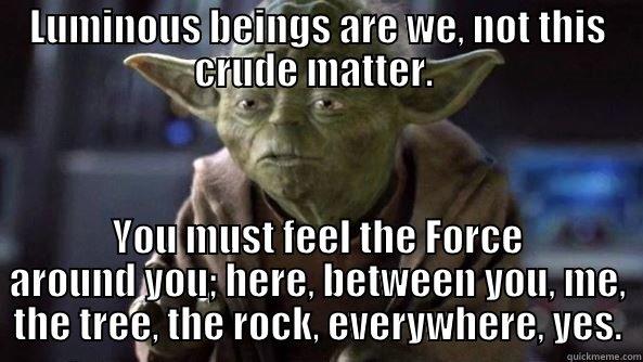 LUMINOUS BEINGS ARE WE, NOT THIS CRUDE MATTER.  YOU MUST FEEL THE FORCE AROUND YOU; HERE, BETWEEN YOU, ME, THE TREE, THE ROCK, EVERYWHERE, YES. True dat, Yoda.