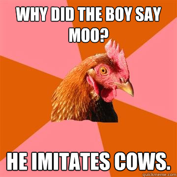 why did the boy say moo? he imitates cows.  Anti-Joke Chicken