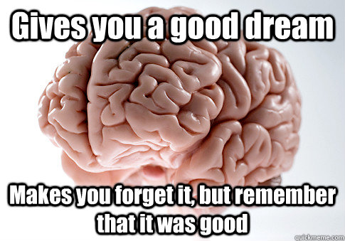 Gives you a good dream Makes you forget it, but remember that it was good   Scumbag Brain