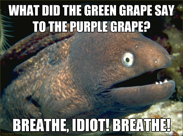 What did the green grape say to the purple grape? Breathe, idiot! BREATHE!  Bad Joke Eel