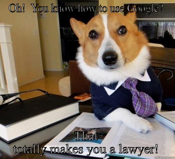 OH!  YOU KNOW HOW TO USE GOOGLE? THAT TOTALLY MAKES YOU A LAWYER! Lawyer Dog