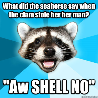 What did the seahorse say when the clam stole her her man? 