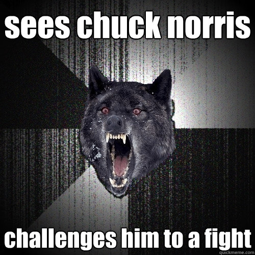 sees chuck norris challenges him to a fight  Insanity Wolf