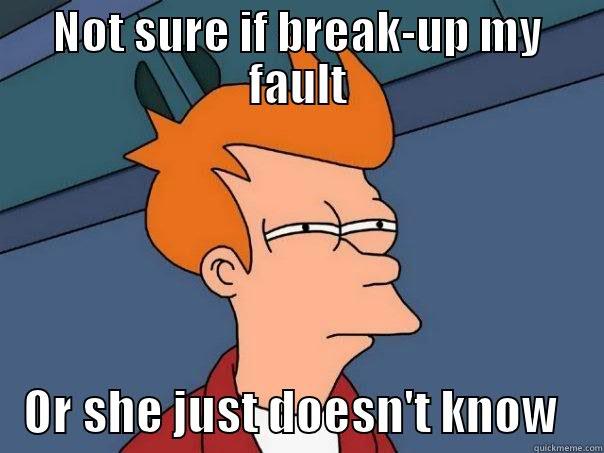 NOT SURE IF BREAK-UP MY FAULT OR SHE JUST DOESN'T KNOW Futurama Fry