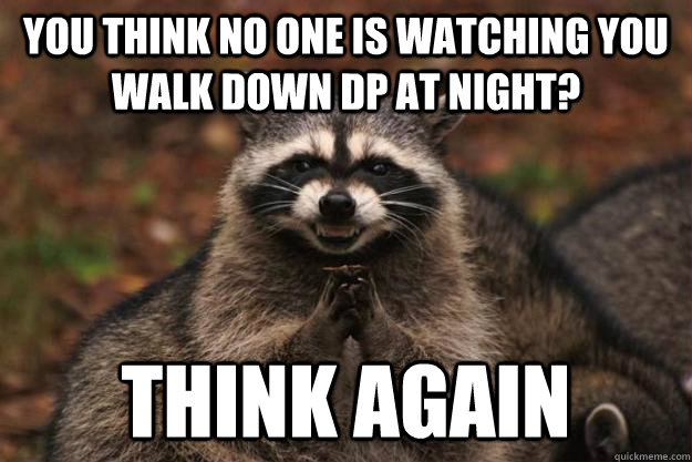 you think no one is watching you walk down dp at night? think again  Evil Plotting Raccoon