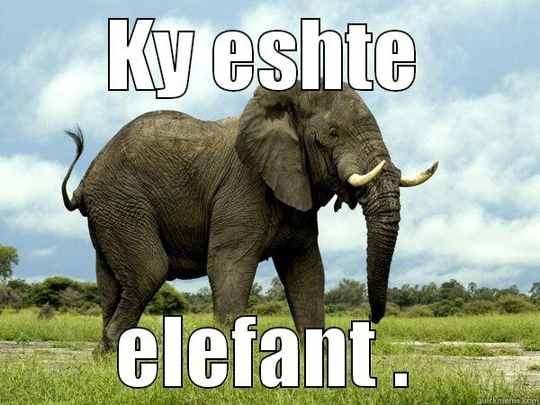 KY ESHTE ELEFANT . Misc