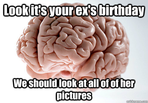 Look it's your ex's birthday We should look at all of of her pictures   Scumbag Brain