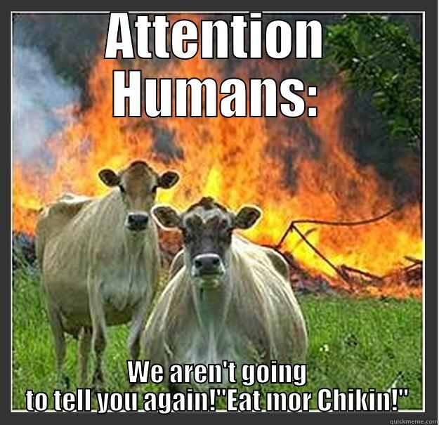 Cows Had Enough - ATTENTION HUMANS: WE AREN'T GOING TO TELL YOU AGAIN!