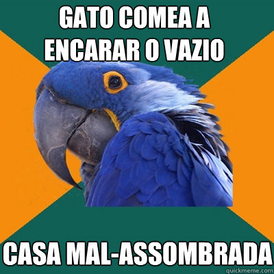 gato começa a encarar o vazio casa mal-assombrada  Paranoid Parrot