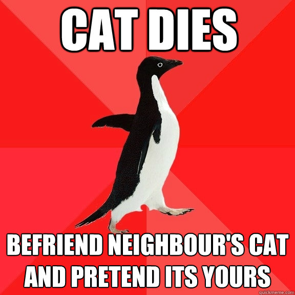 Cat Dies Befriend Neighbour's cat and pretend its yours  Socially Awesome Penguin