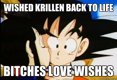 wished krillen back to life bitches love wishes  Good Guy Goku