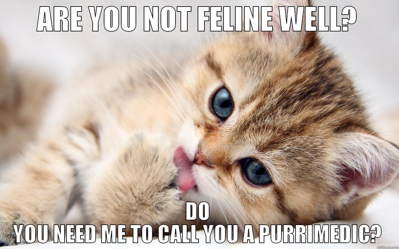 ARE YOU NOT FELINE WELL? DO YOU NEED ME TO CALL YOU A PURRIMEDIC? Misc