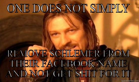 For Amy - ONE DOES NOT SIMPLY REMOVE SCHLEMER FROM THEIR FACEBOOK NAME AND NOT GET SHIT FOR IT Boromir