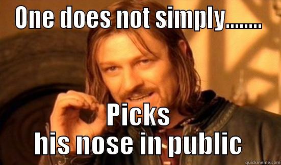 ONE DOES NOT SIMPLY........ PICKS HIS NOSE IN PUBLIC Boromir