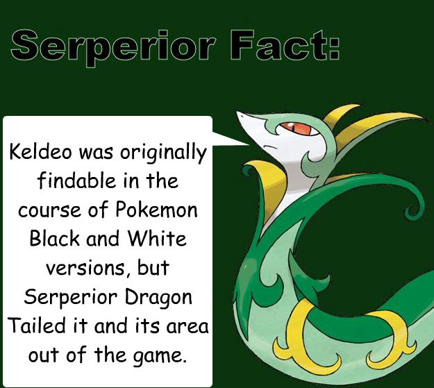 Keldeo was originally findable in the course of Pokeémon Black and White versions, but Serperior Dragon Tailed it and its area out of the game. - Keldeo was originally findable in the course of Pokeémon Black and White versions, but Serperior Dragon Tailed it and its area out of the game.  Serperior Facts