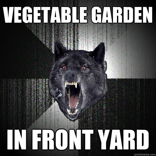 vegetable garden in front yard  Insanity Wolf