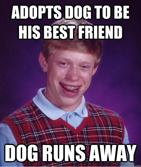 adopts dog to be his best friend dog runs away  Bad Luck Brian