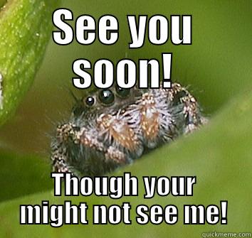 SEE YOU SOON! THOUGH YOUR MIGHT NOT SEE ME! Misunderstood Spider