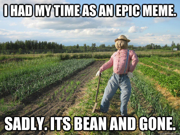 I had my time as an epic meme. Sadly. Its bean and gone.  Scarecrow