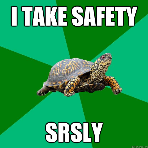 i take safety srsly - i take safety srsly  Torrenting Turtle