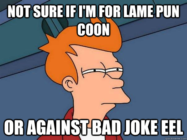 not sure if i'm for lame pun coon or against bad joke eel  Futurama Fry