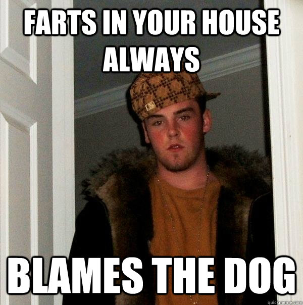 Farts in your house always Blames the dog  Scumbag Steve