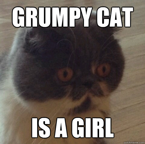 Grumpy Cat Is a girl  