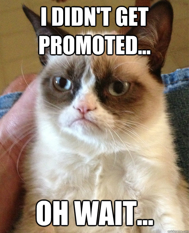 I didn't get Promoted... Oh wait...  Grumpy Cat