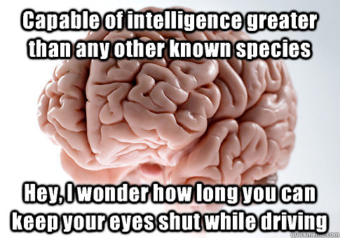 Capable of intelligence greater than any other known species Hey, I wonder how long you can keep your eyes shut while driving  Scumbag Brain