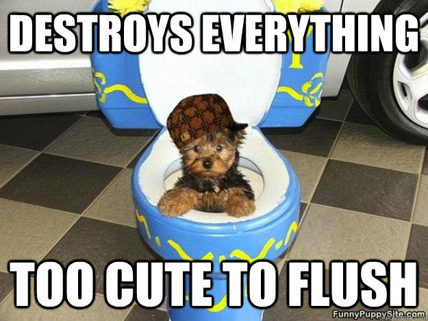 Destroys everything Too cute to flush  