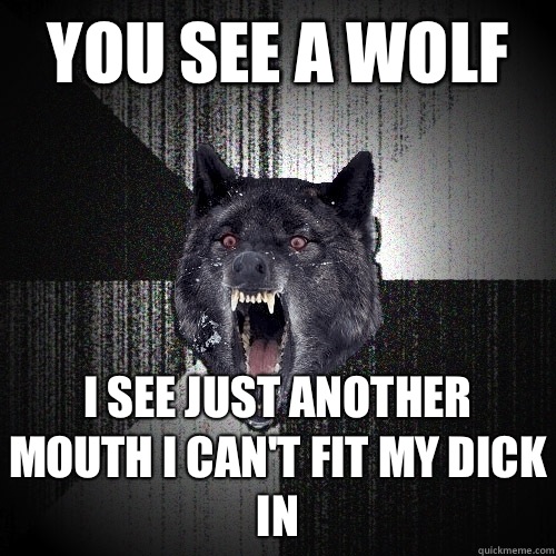 You see a wolf I see just another mouth I can't fit my dick in  Insanity Wolf