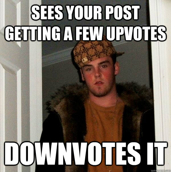 Sees your post getting a few upvotes downvotes it - Sees your post getting a few upvotes downvotes it  Scumbag Steve