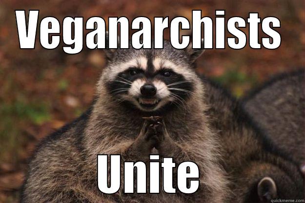 VEGANARCHISTS UNITE Evil Plotting Raccoon