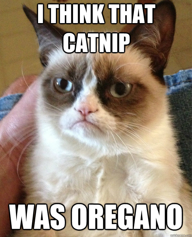 I think that catnip was oregano  Grumpy Cat