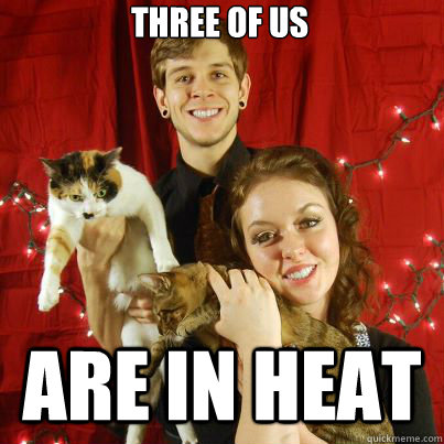 Three of us are in heat  