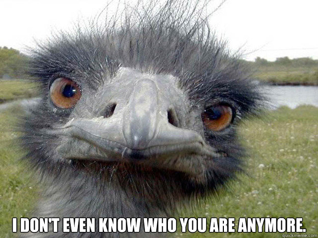  I don't even know who you are anymore. -  I don't even know who you are anymore.  I dont know you bird