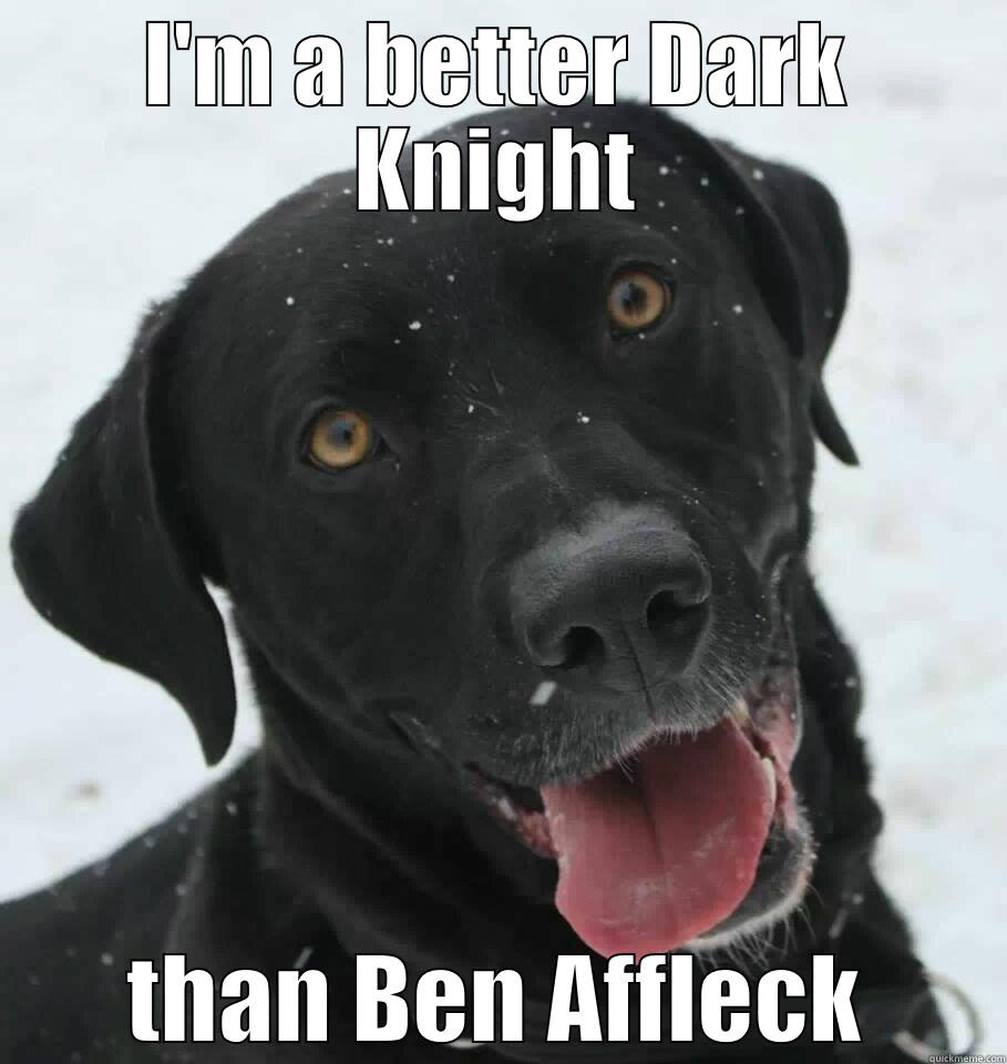 I'M A BETTER DARK KNIGHT THAN BEN AFFLECK Misc