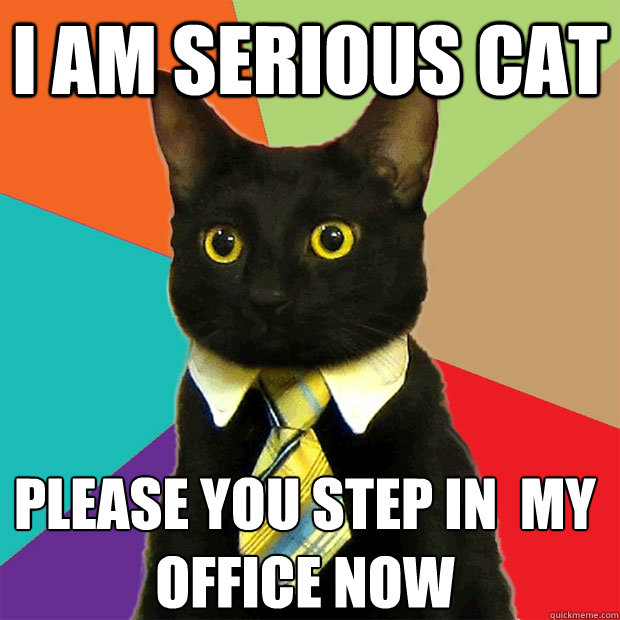 i am serious cat please you step in  my
office now  Business Cat