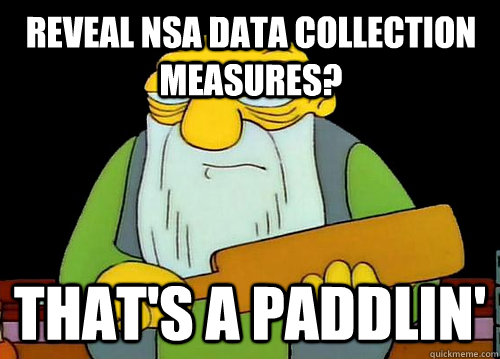 Reveal nsa data collection measures? That's a Paddlin'  Thats a paddlin