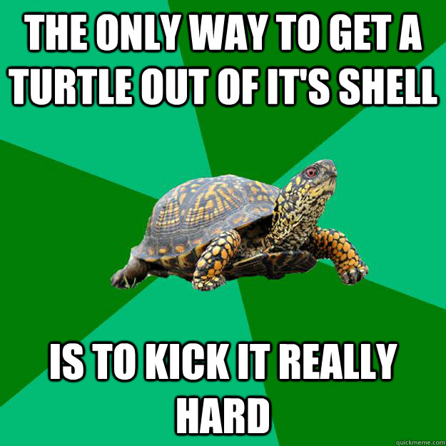 The only way to get a turtle out of it's shell is to kick it really hard  Torrenting Turtle